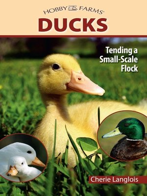 cover image of Ducks